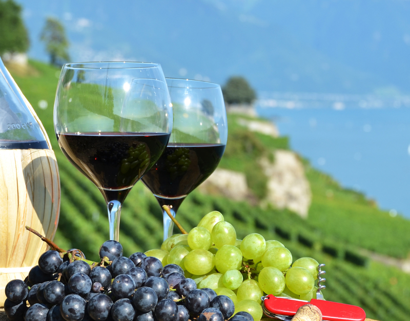 South America Festival