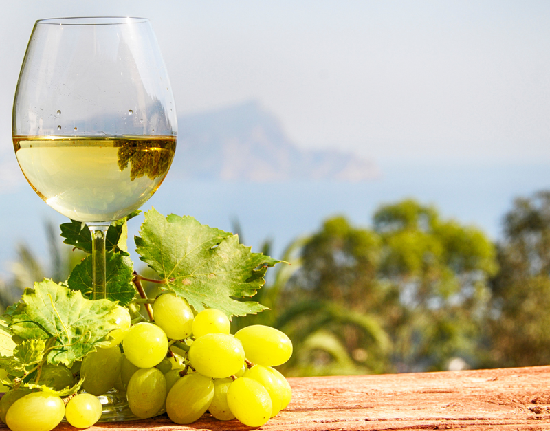 First Wines of Spring